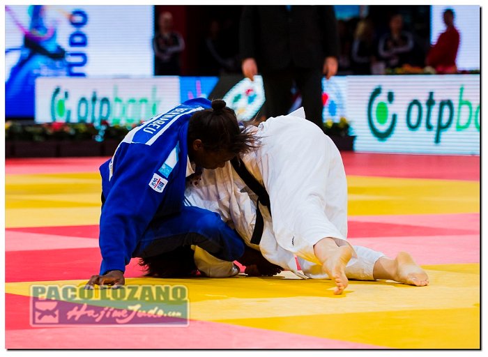 Paris 2014 by P.Lozano cat -70 kg_PLM2938